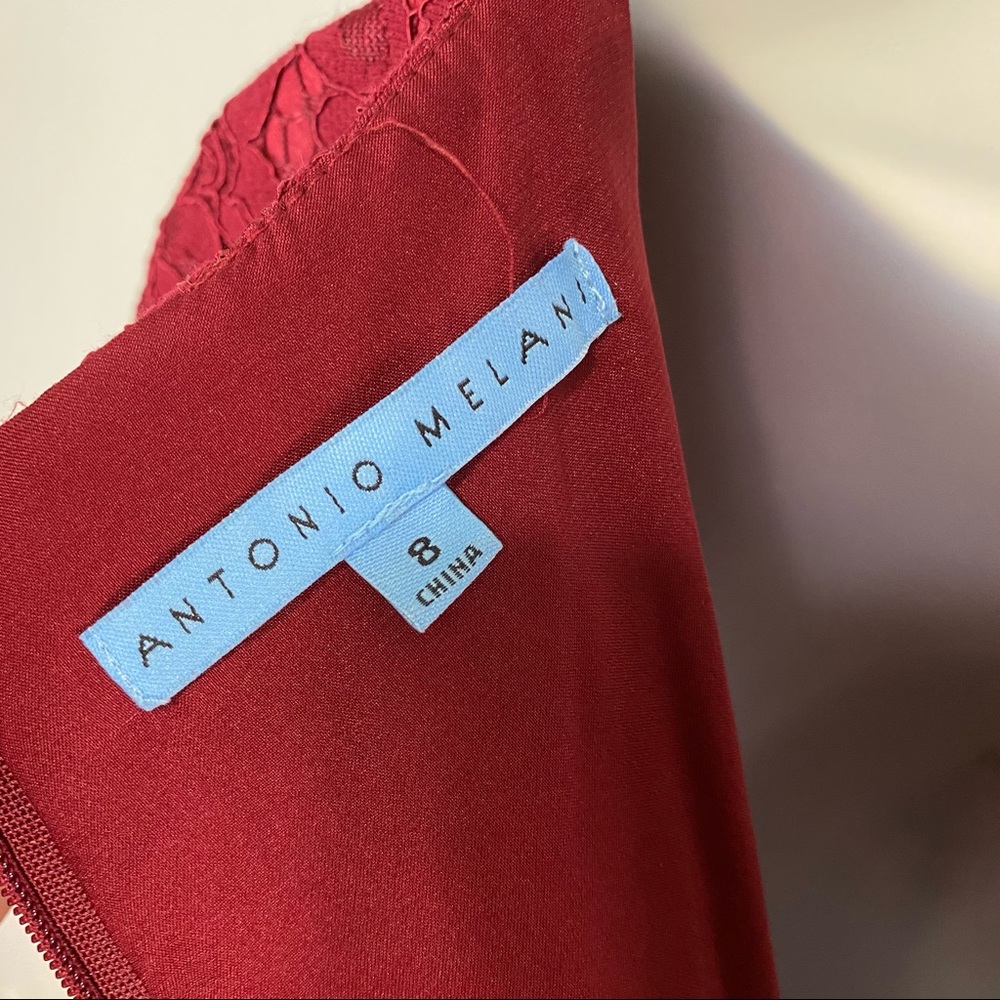 Antonio Melani Burgundy Lace Overlay Dress SZ 8 - Picture 4 of 6